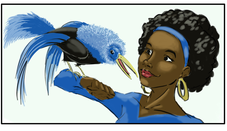 joshhagen_board_practice