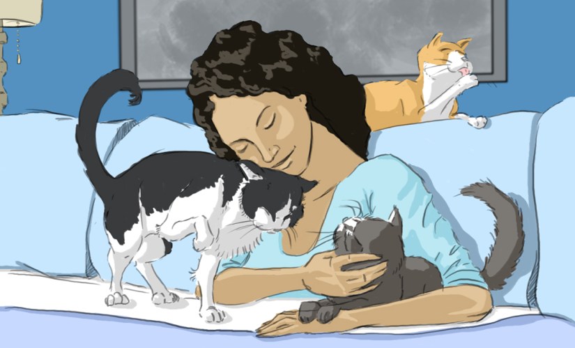 joshhagen_catframe_practice